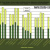 E2 640 Baralfa X42 Hybrid Alfalfa/Tall Fescue Mixture - Image 2