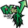 Fixation Balansa Clover - Image 2