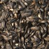 Sunflowers - Black Oil - Image 2
